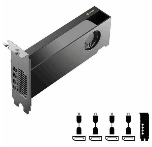 PNY NVIDIA RTX PRO 2000 - 16 GB GDDR7 - Full-height/Low-profile (VCNRTXPRO2000B-PB)